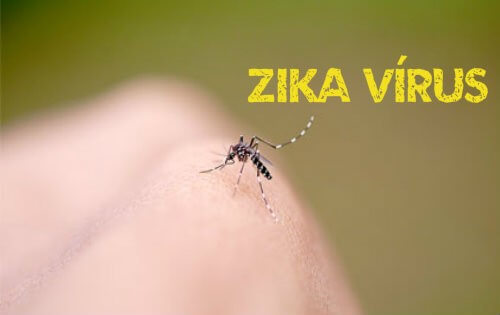 zika vírus nutriela
