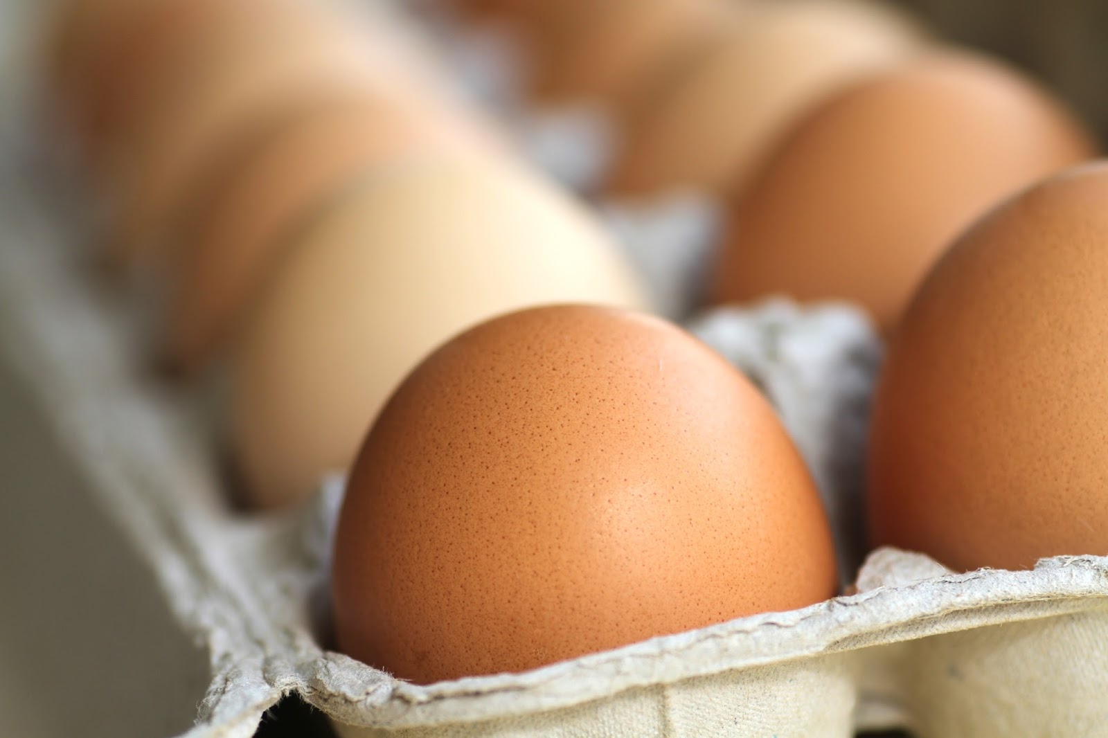 Saiba por que consumir ovos é um hábito saudável