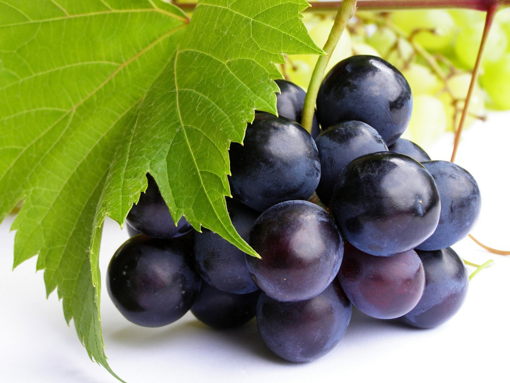 Benefícios do suco de uva para a saúde