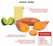Batata yacon controla diabetes, colesterol e aumenta a saciedade