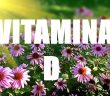 Pesquisa mostra de forma dramática a ampla influência que a vitamina D exerce sobre nossa saúde