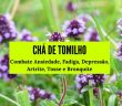 Chá de Tomilho: Combate Ansiedade, Fadiga, Depressão, Artrite, Tosse e Bronquite