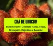 Chá de Urucum: Expectorante, Combate Asma, Tosse e Bronquite, Digestivo e Laxante