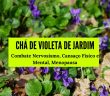 Chá de Violeta-de-Jardim: Combate Nervosismo, Cansaço Físico e Mental, Menopausa, Depressão, Tosse e Bronquite