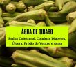 Água de Quiabo: Reduz Colesterol, Combate Diabetes, Úlcera, Prisão de Ventre e Asma