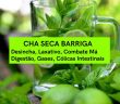 Chá Seca Barriga: Desincha, Laxativo, Combate Má Digestão, Gases e Cólicas Intestinais