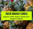 Chá de Abacaxi com Canela: Digestivo, Reduz Apetite, Desintoxica e Emagrece Rápido