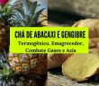 Chá de Abacaxi com Gengibre: Termogênico, Emagrecedor, Combate Gases e Azia