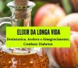 Elixir da Longa Vida (Receita): Desintoxica, Acelera o Emagrecimento e Combate Diabetes